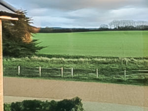 Photo 19- click for photo gallery